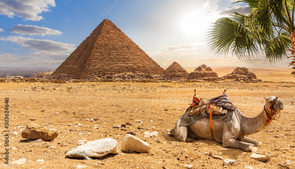 The Pyramid of Menkaure and a camel, beautiful desert scenery, Egypt