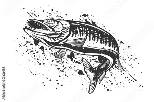 Pike fishing emblem shirt. Pike fish logo vector. Outdoor fishing background theme. Angry fish logo.