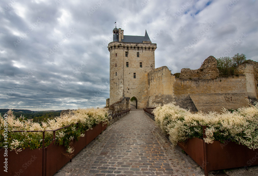 The Entrance of the Forteresse Royale de Chinon, Chinon, France.