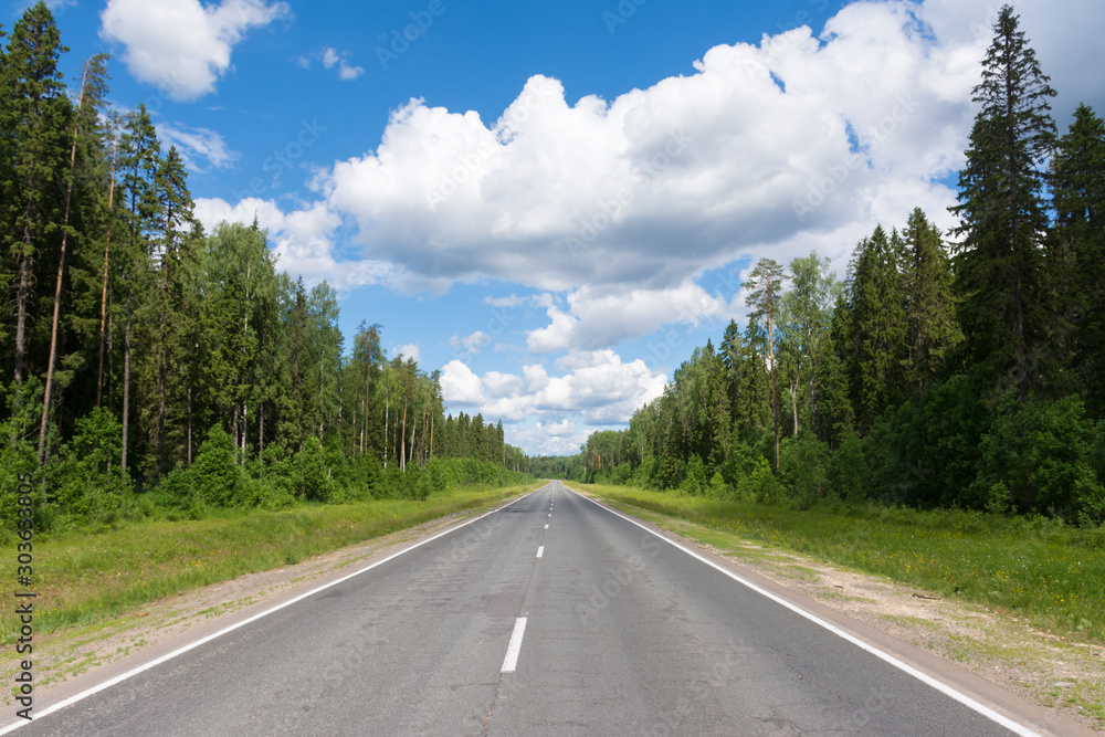 Asphalt road in the Vologda region Asphalt road in the Vologda region