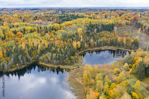 Forest in autumn colors. Colored trees and a meandering blue river. Red, yellow, orange, green deciduous trees in fall. Paganamaa, Estonia, Europe © Artenex