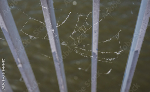 spider web on the bridge © Александр Огородник