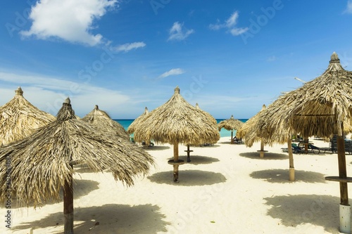 Beautiful view of white sand beach with sun umbrellas and sun beds on green palm trees and blue sky with white clouds background. Eagle beach. Aruba island.