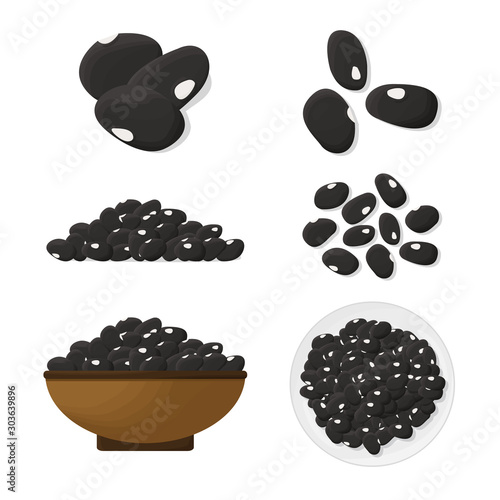 Black beans illustration set. Vector.