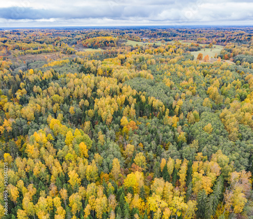 Forest in autumn colors. Colored trees and a meandering blue river. Red, yellow, orange, green deciduous trees in fall. Veclaicene, Latvia, Europe