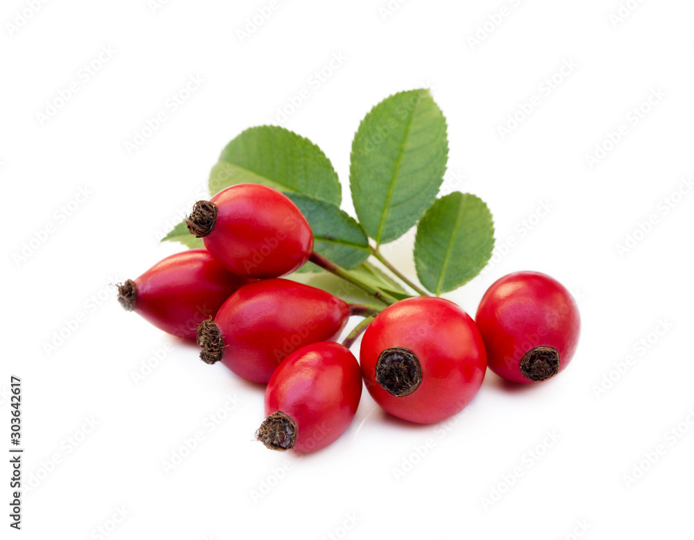 Ripe rose hip isolated on white background Ripe rose hip isolated on white background