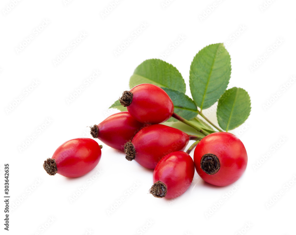 Ripe rose hip isolated on white background Ripe rose hip isolated on white background