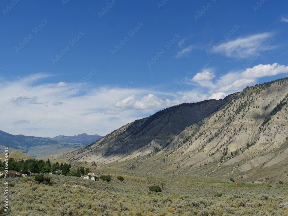 Scenic landscape with structures partially obscured by grass and shrubbery at Yellowstone National Park, Wyoming.