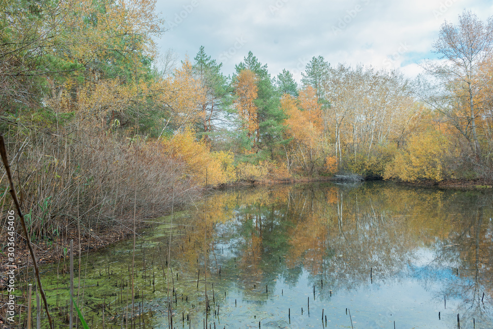 Autumn lake in the forest.