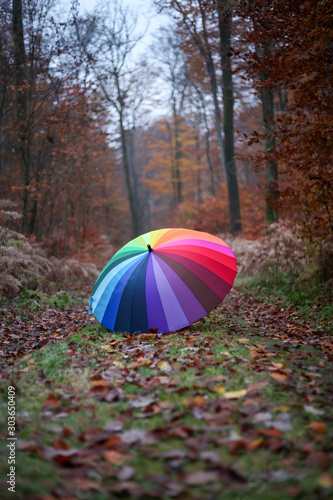 My unique collection for the colorful umbrella in the fascinating Mullerthal trail in Luxembourg, Europe. Dramatic and romantic looking scenes © Novice.Art