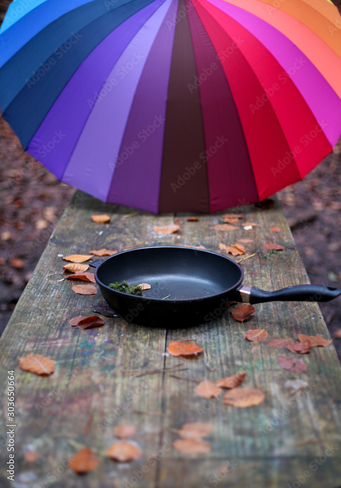 Φωτογραφία My unique collection for the colorful umbrella in the fascinating Mullerthal trail in Luxembourg, Europe