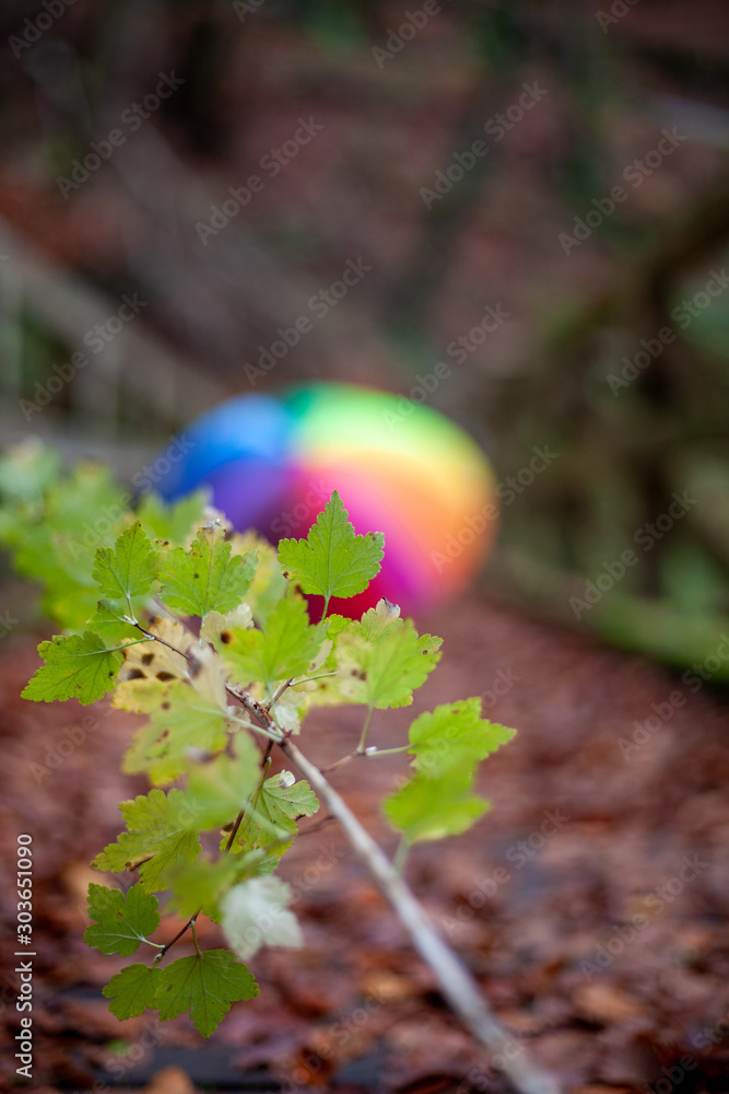 Φωτογραφία My unique collection for the colorful umbrella in the fascinating Mullerthal trail in Luxembourg, Europe