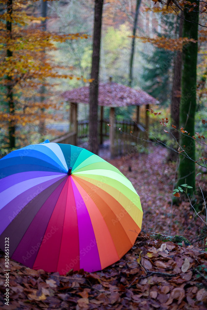 Φωτογραφία My unique collection for the colorful umbrella in the fascinating Mullerthal trail in Luxembourg, Europe