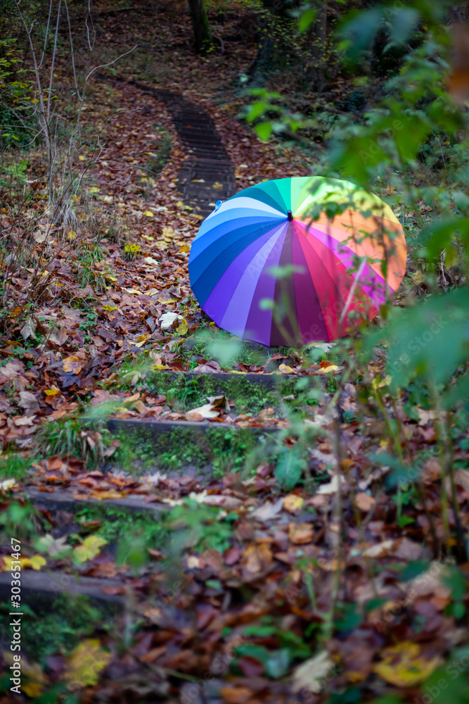 My unique collection for the colorful umbrella in the fascinating Mullerthal trail in Luxembourg, Europe. Dramatic and romantic looking scenes
