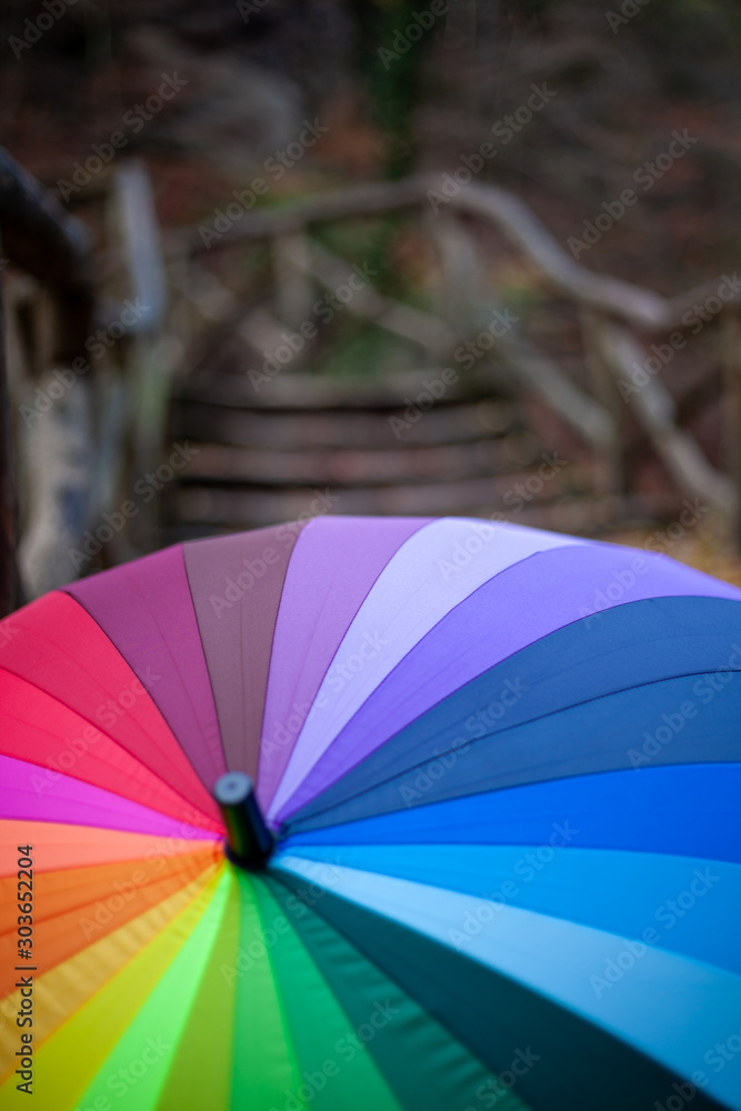 My unique collection for the colorful umbrella in the fascinating Mullerthal trail in Luxembourg, Europe. Dramatic and romantic looking scenes