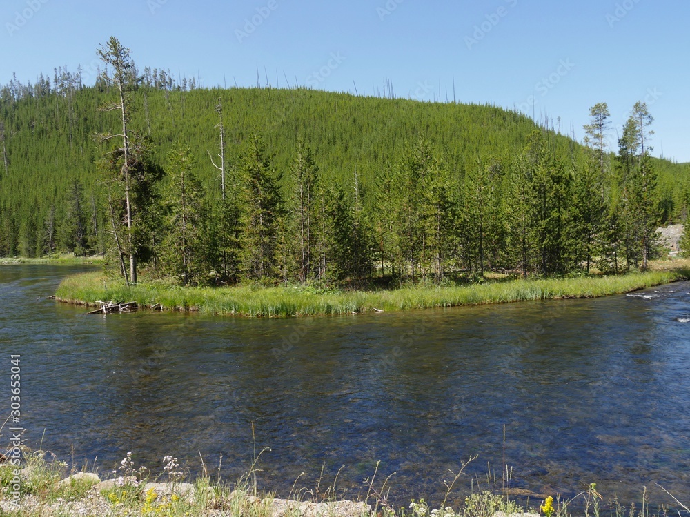 The Yellowstone River winds around lush forests and pine trees at Yellowstone National Park, Wyoming.