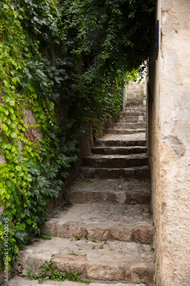 Steps go up an old alleyway with ivy Steps go up an old alleyway with ivy
