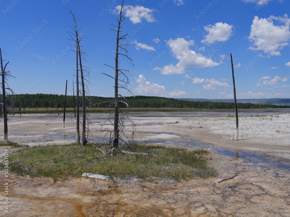 Beautiful clouds over the Lower Geyser Basin, with leafless trees at Yellowstone National Park, Wyoming.