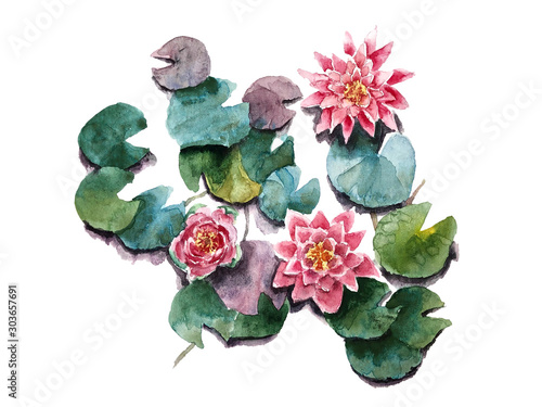 Group of realistic inflorescences of water lilies and Nymphaeum leaves top view landscape design watercolor painting