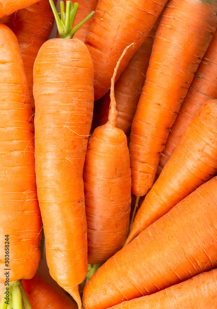 Carrot background. Fresh carrot. Fresh ripe vegetables Carrot background. Fresh carrot. Fresh ripe vegetables