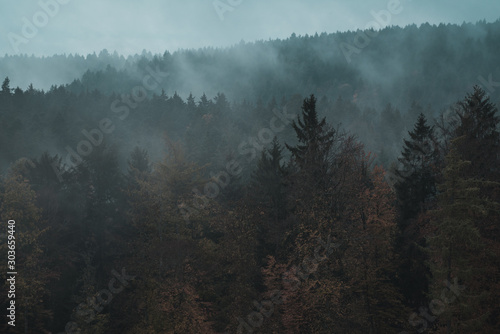 Mystical mood above the forest