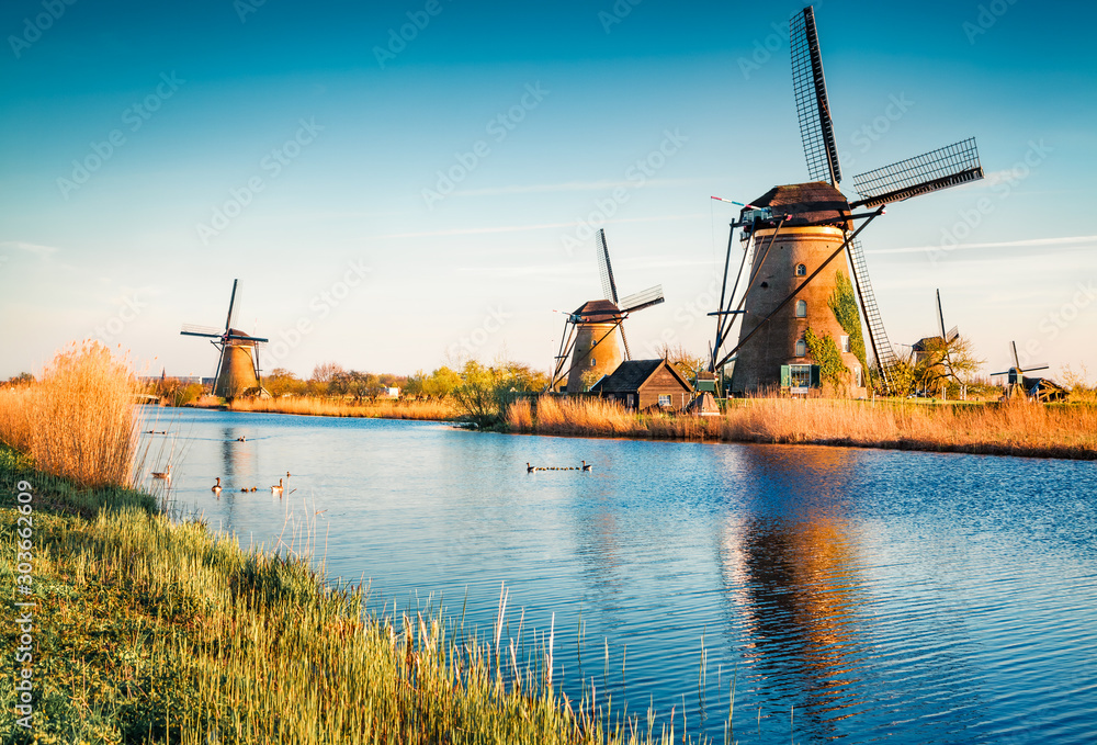 Fototapeta premium Famous windmills in Kinderdijk museum in Holland. Picturesque outdoor scene of Netherlands, Europe. UNESCO World Heritage Site. Traveling concept background.