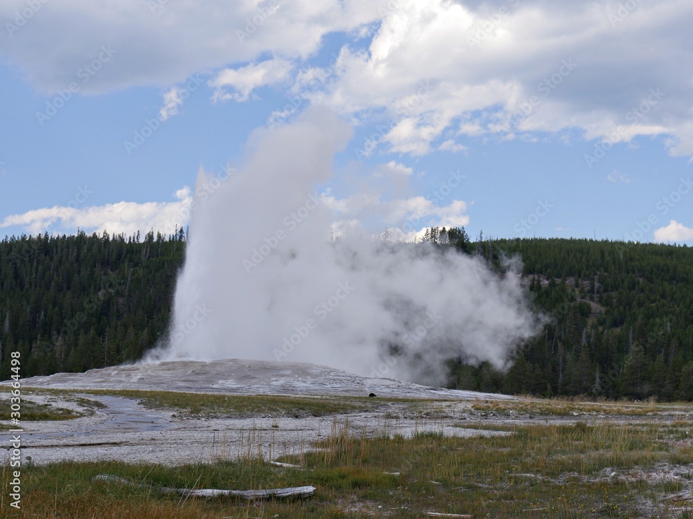 Scalding water and steam spews out of Old Faithful geyser at Yellowstone National Park, Wyoming.