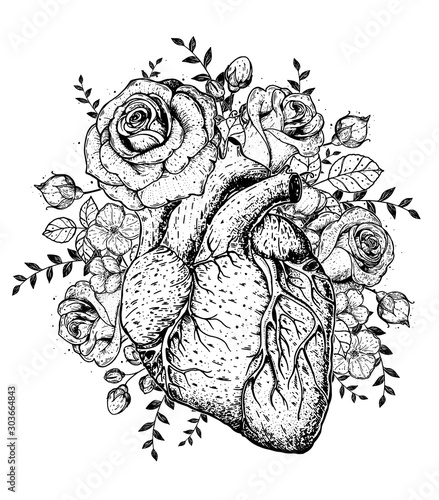 Heart and rose flower hand drawn sketch. Vintage vector illustration. Anatomical heart. Isolated black and white heart illustration. Engraved style.