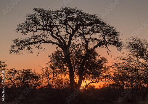 Sunset during a safari in South Africa