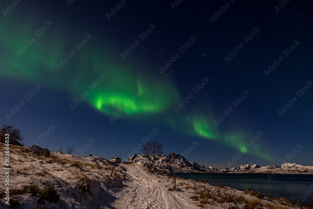 Aurora borealis Polar lights over the mountains in the North of Europe , Lofoten islands, Norway