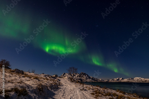 Aurora borealis Polar lights over the mountains in the North of Europe , Lofoten islands, Norway © Tatiana