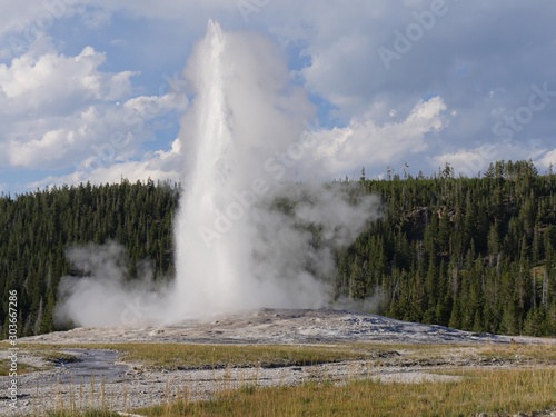 Show off of scalding water and steam spurting out of the Old Faithful geyser during an early morning eruption at Yellowstone National Park, Wyoming.