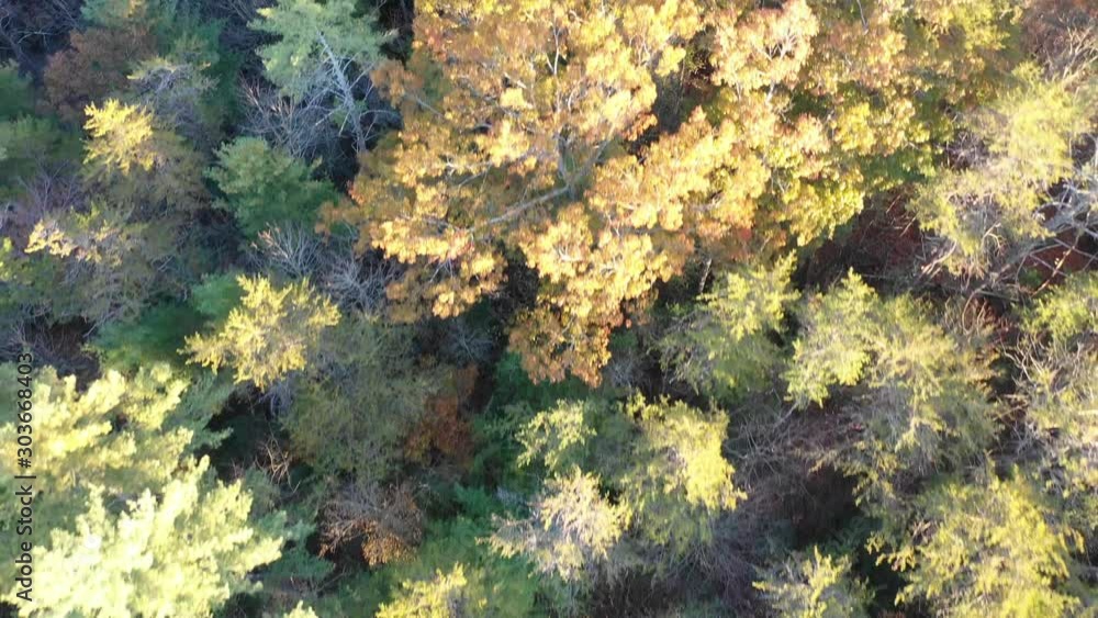 4K Aerial Fall Landscape at Georgia Mountains during the fall 4K Aerial Fall Landscape at Georgia Mountains during the fall