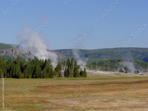 Medium wide shot of steam rising above the trees at the Upper Geyser Basin at Yellowstone National Park.