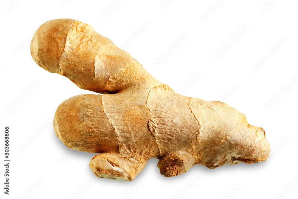 ginger root piece on white isolated background ginger root piece on white isolated background