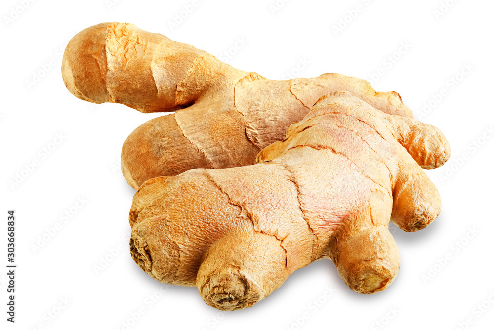 ginger root piece on white isolated background ginger root piece on white isolated background