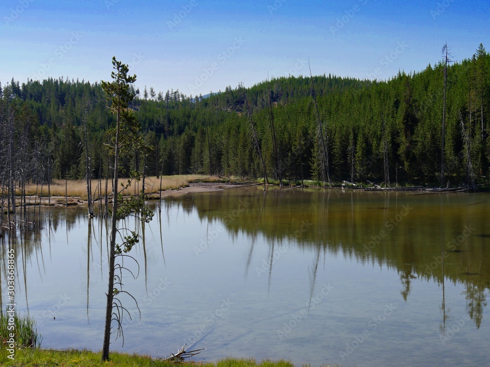 Water reflections at Norris Geyser Basin with lush trees at Yellowstone National Park, Wyoming. Water reflections at Norris Geyser Basin with lush trees at Yellowstone National Park, Wyoming.