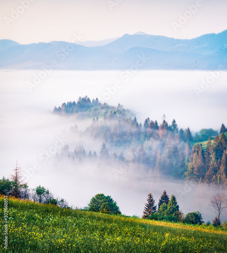 Misty summer view of Carpathian mountains. Gorgeous morning scene of Borzhava mountain ridge, Transcarpathian, Ukraine, Europe. Beauty of nature concept background.