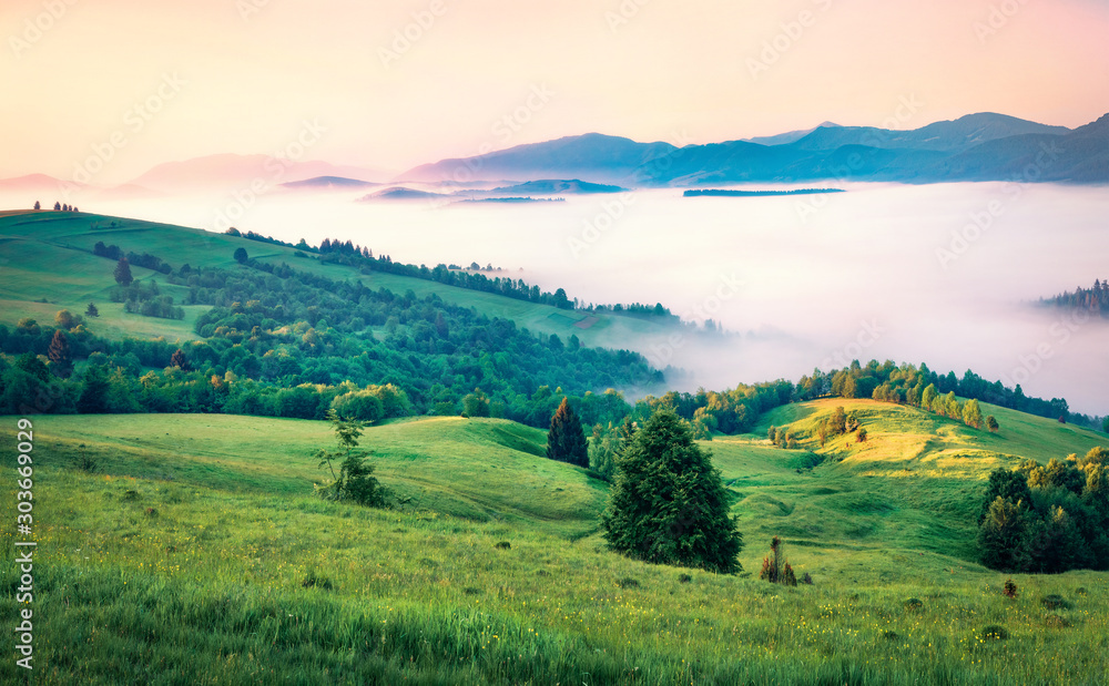 Fototapeta First rays of the sun cover the mountain hills of the Carpathian valley. Foggy morning scene of Carpathians, Ukraine, Europe. Beauty of nature concept background.