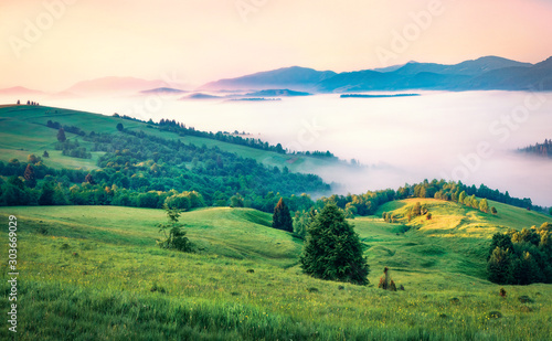 First rays of the sun cover the mountain hills of the Carpathian valley. Foggy morning scene of Carpathians, Ukraine, Europe. Beauty of nature concept background.