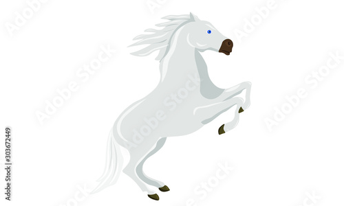horse stallion in jump rearing  gallop start