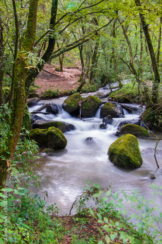 Vertical river in the forest long exposure 