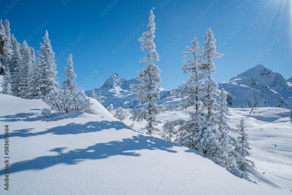 Verschneite Winterlandschaft Verschneite Winterlandschaft