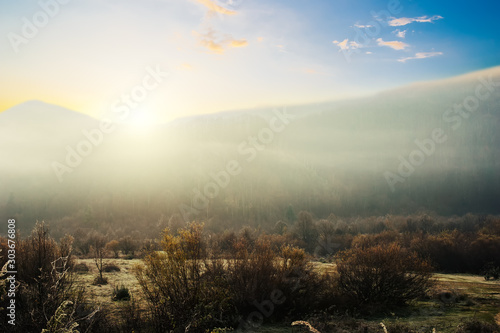 Sunny autumn forest in mountains