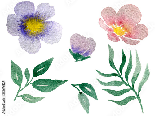 Fototapeta Naklejka Na Ścianę i Meble -  set of watercolor flowers, flower elements for design isolated on white background