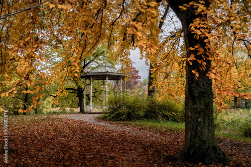 Autumn Park Scenery In Leipzig, Germany