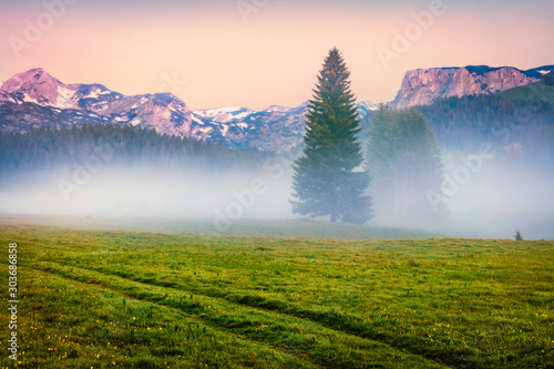 Misty summer sunrise in Durmitor Nacionalni Park. Splendid morning view of Montenegro countryside, Zabljak town location. Beautiful world of Mediterranean countries. Traveling concept background.