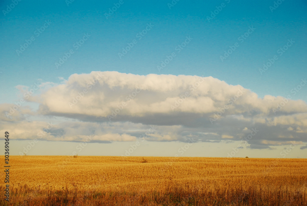 iowa landscape with ripe fields and blue skies iowa landscape with ripe fields and blue skies