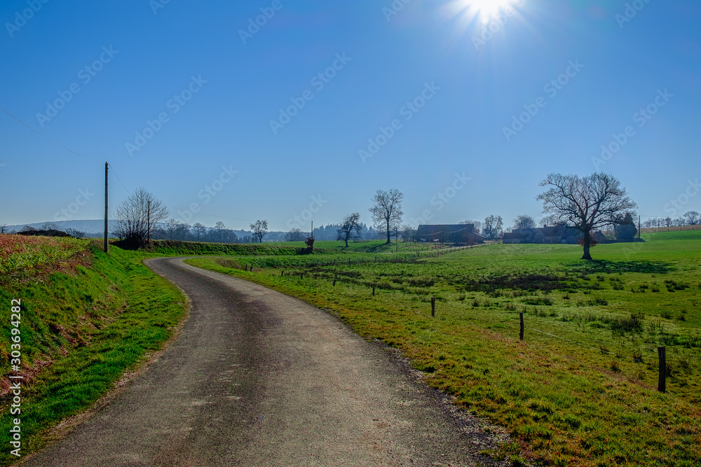 Country lane in Normandy by the village of Torchamp bordered by agriculture fields on a sunny day, France