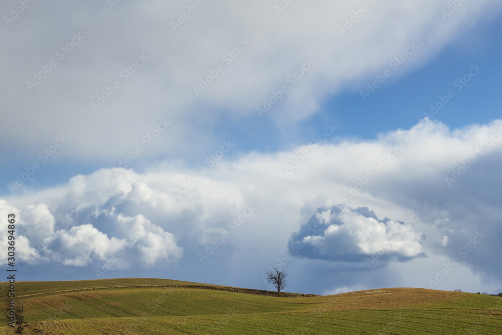green fields in spring, cumulus clouds